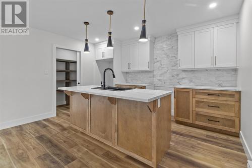 8 Badger Place, Mount Pearl, NL - Indoor Photo Showing Kitchen With Upgraded Kitchen