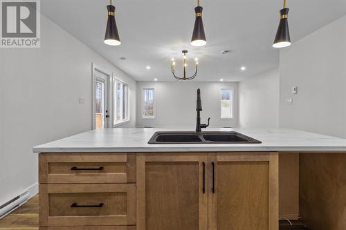 8 Badger Place, Mount Pearl, NL - Indoor Photo Showing Kitchen With Double Sink