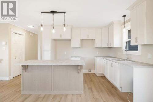 57 Dominic Drive, Conception Bay South, NL - Indoor Photo Showing Kitchen