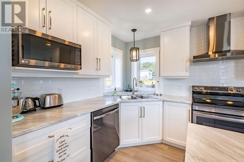 6 Shriners Road, St John'S, NL - Indoor Photo Showing Kitchen With Double Sink