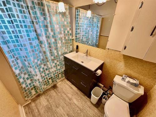 132 King Street, Dryden, ON - Indoor Photo Showing Bathroom