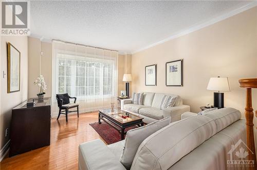 56 Jack Aaron Drive, Ottawa, ON - Indoor Photo Showing Living Room