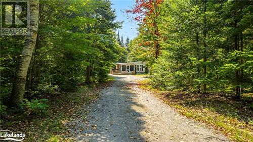 19 High Bush Road, Lake St. Peter, ON - Outdoor