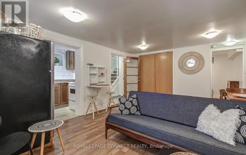 Lower - 285 Wychwood Avenue, Toronto, ON - Indoor Photo Showing Living Room