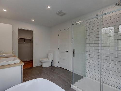 Bathroom - 1028 Rue Bissonnette, Saint-Blaise-Sur-Richelieu, QC - Indoor Photo Showing Bathroom