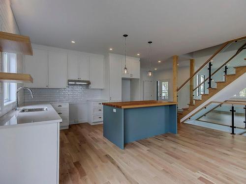 Cuisine - 1028 Rue Bissonnette, Saint-Blaise-Sur-Richelieu, QC - Indoor Photo Showing Kitchen With Double Sink With Upgraded Kitchen