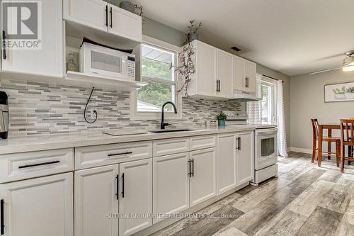 1869 Herbert Avenue, London, ON - Indoor Photo Showing Kitchen