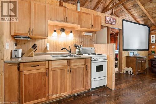 75 Mcguire Beach Road, Kawartha Lakes (Kirkfield), ON - Indoor Photo Showing Kitchen With Double Sink