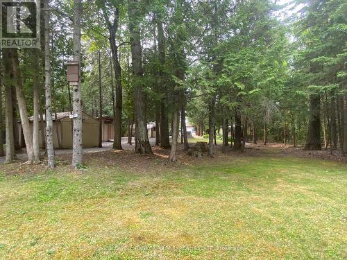 75 Mcguire Beach Road, Kawartha Lakes (Kirkfield), ON - Outdoor