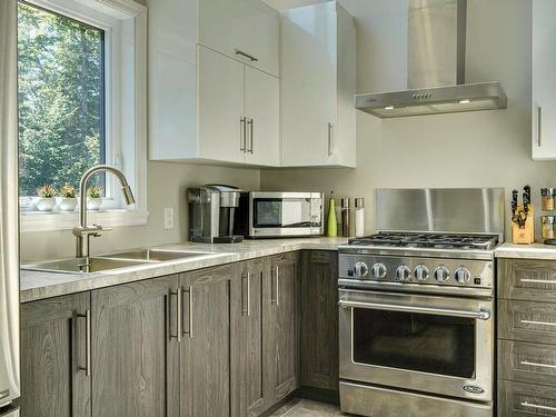 Cuisine - 2174 Ch. Du Golf, Sainte-Lucie-Des-Laurentides, QC - Indoor Photo Showing Kitchen With Double Sink