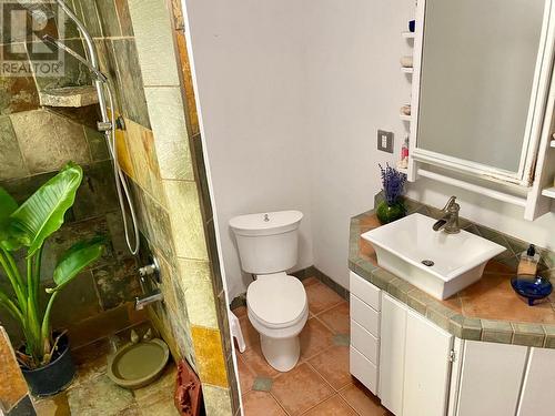 3705 Koochin Road, Grand Forks, BC - Indoor Photo Showing Bathroom