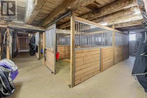 8863 Wellington 124 Road, Erin, ON - Indoor Photo Showing Basement