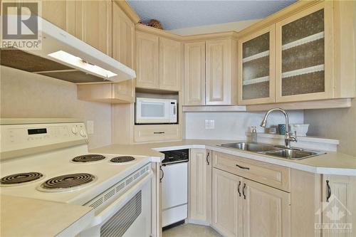 Kitchen cupboards - 1285 Cahill Avenue Unit#1303, Ottawa, ON - Indoor Photo Showing Kitchen With Double Sink