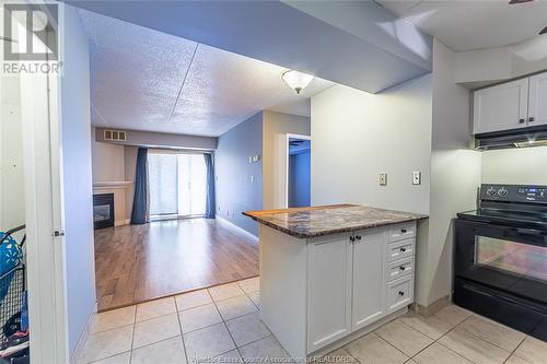 1323 Langlois Avenue Unit# 105, Windsor, ON - Indoor With Fireplace