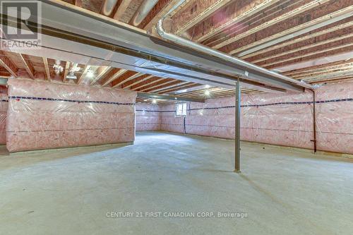 6 Aspen Circle, Thames Centre (Thorndale), ON - Indoor Photo Showing Basement