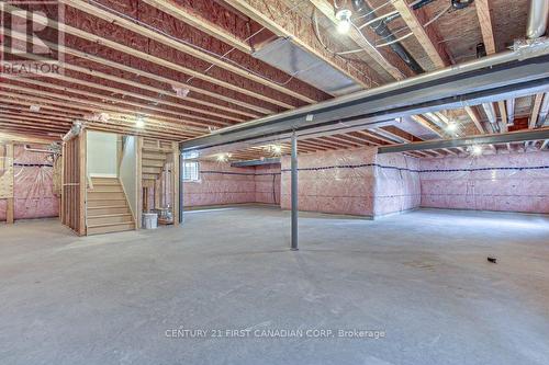 6 Aspen Circle, Thames Centre (Thorndale), ON - Indoor Photo Showing Basement