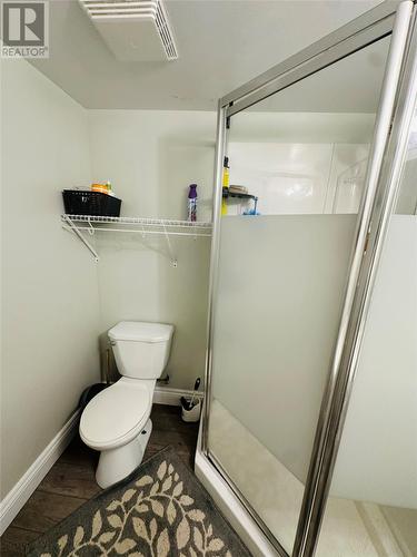 15 Anderson Avenue, St. John'S, NL - Indoor Photo Showing Bathroom