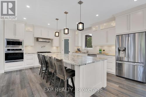 8037 Springwater Road, Aylmer, ON - Indoor Photo Showing Kitchen With Stainless Steel Kitchen With Upgraded Kitchen