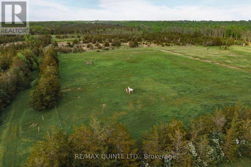 2526 County Road 5 Acres, Prince Edward County (Sophiasburgh), ON 