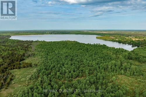 2526 County Road 5 Acres, Prince Edward County (Sophiasburgh), ON 