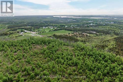 2526 County Road 5 Acres, Prince Edward County (Sophiasburgh), ON 