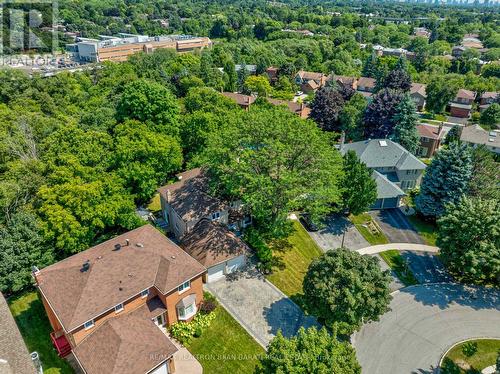 13 Bluffwood Drive, Toronto (Bayview Woods-Steeles), ON - Outdoor