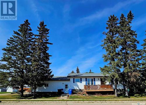 219 Carl Avenue E, Langenburg, SK - Outdoor