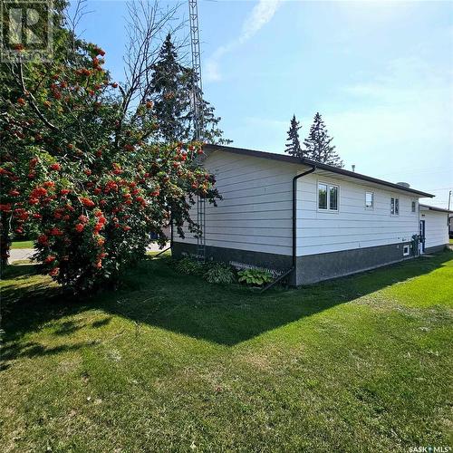 219 Carl Avenue E, Langenburg, SK - Outdoor