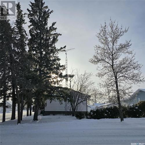 219 Carl Avenue E, Langenburg, SK - Outdoor