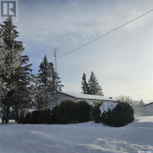 219 Carl Avenue E, Langenburg, SK - Outdoor With View