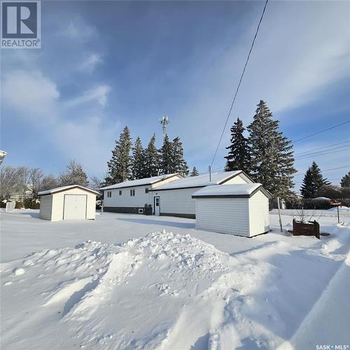 219 Carl Avenue E, Langenburg, SK - Outdoor