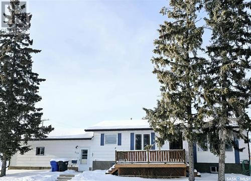 219 Carl Avenue E, Langenburg, SK - Outdoor