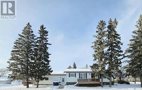 219 Carl Avenue E, Langenburg, SK - Outdoor