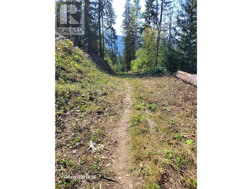 Lot 1 Trevor  Street, Nelson, BC 