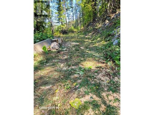 Lot 1 Trevor  Street, Nelson, BC 