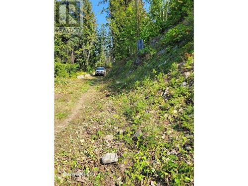 Lot 1 Trevor  Street, Nelson, BC 