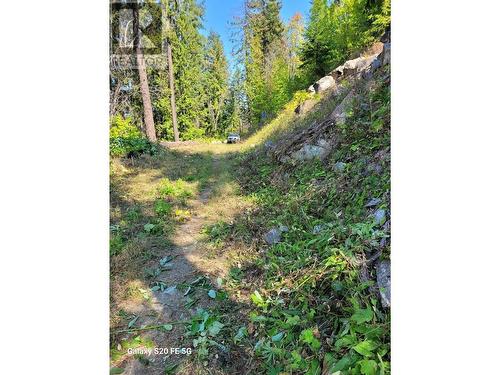 Lot 1 Trevor  Street, Nelson, BC 