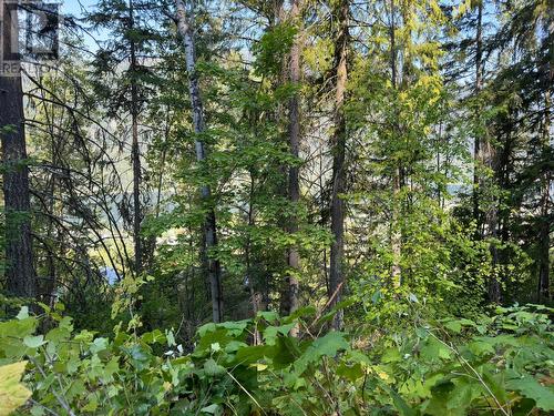 Lot 1 Trevor  Street, Nelson, BC 