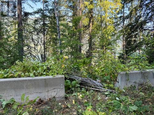 Lot 1 Trevor  Street, Nelson, BC 