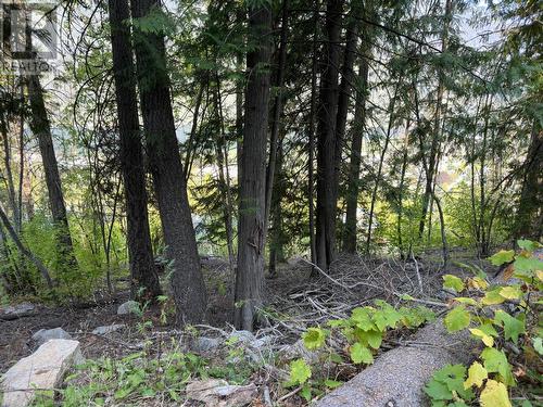 Lot 1 Trevor  Street, Nelson, BC 