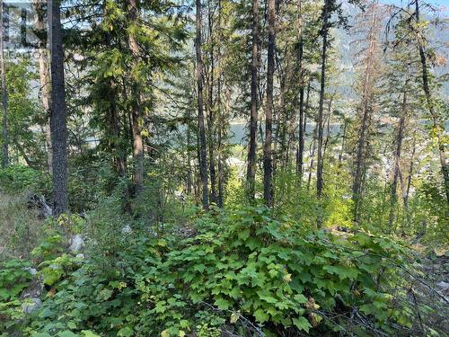 Lot 1 Trevor  Street, Nelson, BC 