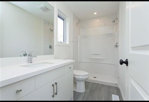 730 Knox Avenue, Hamilton, ON - Indoor Photo Showing Bathroom