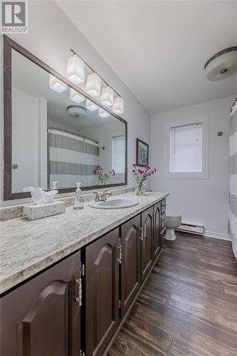 357 Blackmarsh Road, St. John'S, NL - Indoor Photo Showing Bathroom