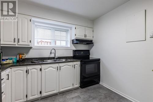 357 Blackmarsh Road, St. John'S, NL - Indoor Photo Showing Kitchen With Double Sink