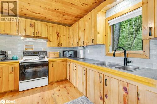 1018A Leisure Lane, Cloyne, ON - Indoor Photo Showing Kitchen With Double Sink