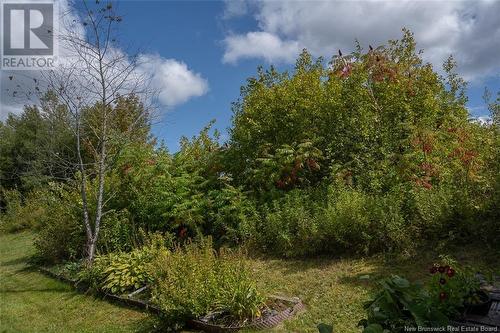 102 Dora Drive, Fredericton, NB - Outdoor With View