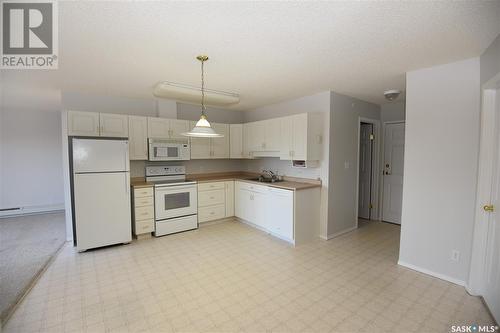 402 220 1St Street E, Nipawin, SK - Indoor Photo Showing Kitchen