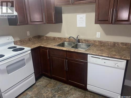 310 512 4Th Avenue N, Saskatoon, SK - Indoor Photo Showing Kitchen With Double Sink