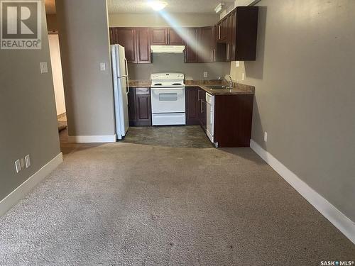 310 512 4Th Avenue N, Saskatoon, SK - Indoor Photo Showing Kitchen