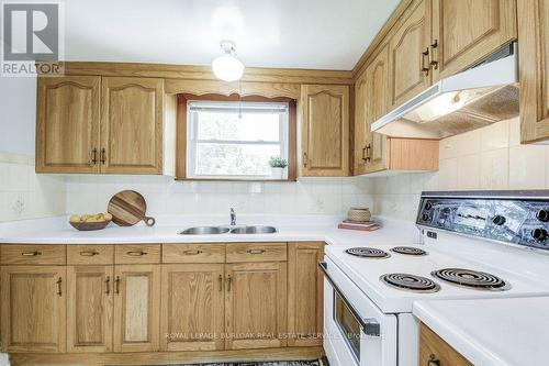 113 Kensington Avenue N, Hamilton (Crown Point), ON - Indoor Photo Showing Kitchen With Double Sink